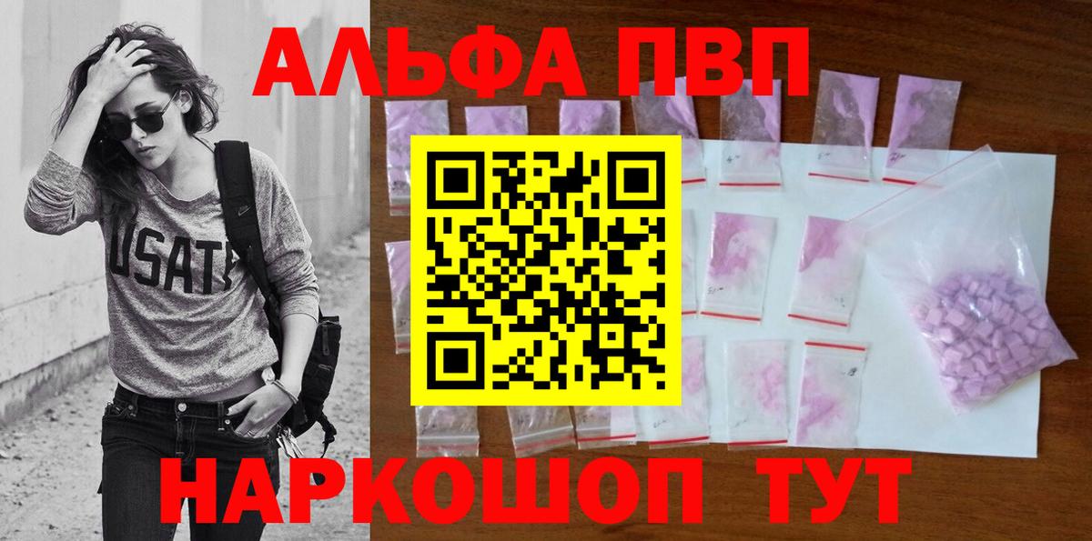 A PVP СК Бердск