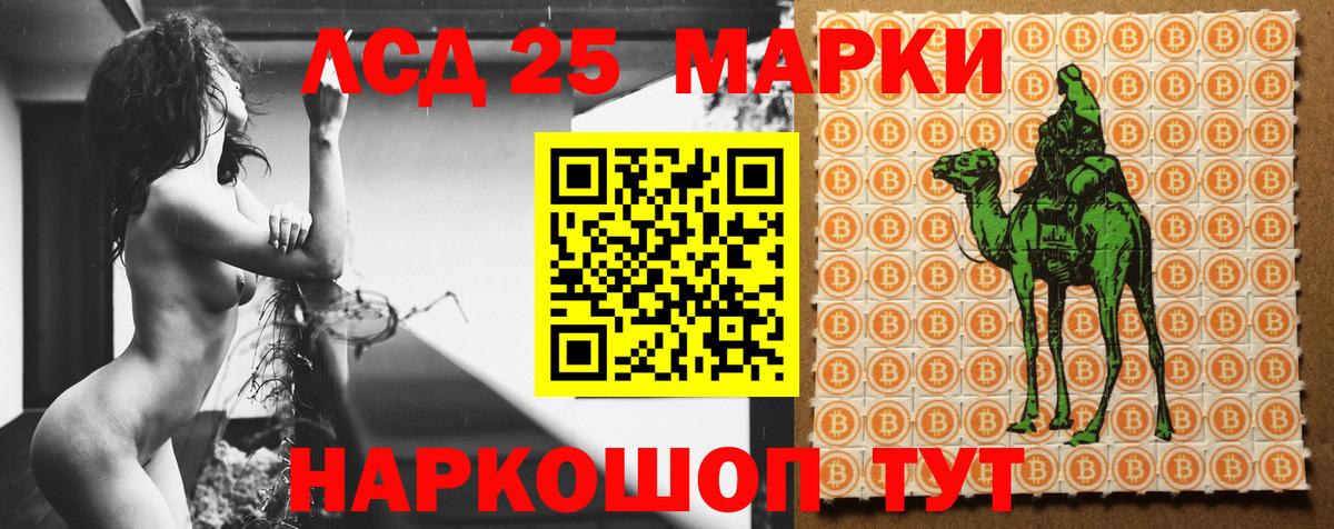 LSD-25 экстази кислота  LSD-25 экстази кислота  Бердск  Вход с VPN 