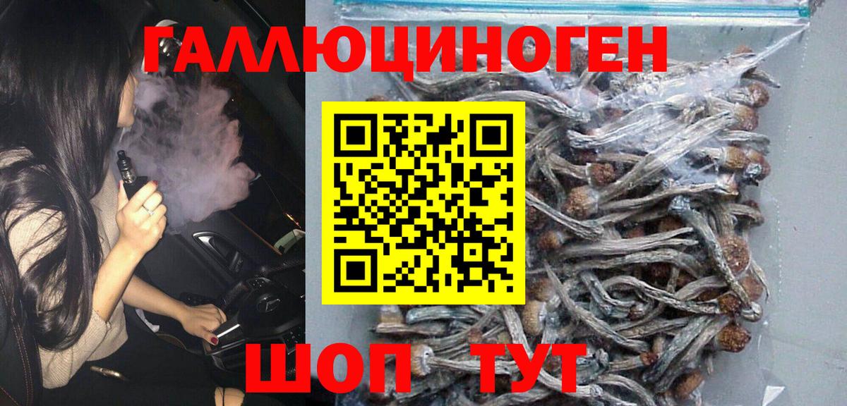 Псилоцибиновые грибы GOLDEN TEACHER  Вход с VPN  Бердск 