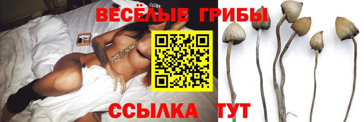 Псилоцибиновые грибы GOLDEN TEACHER Бердск